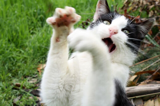 一场比赛胜负的“瞬间决定”:欧冠经典瞬间,欧冠精彩片段