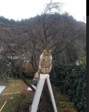 开云平台-历届欧冠“十大经典对决”深度回顾，历届欧冠决赛对手