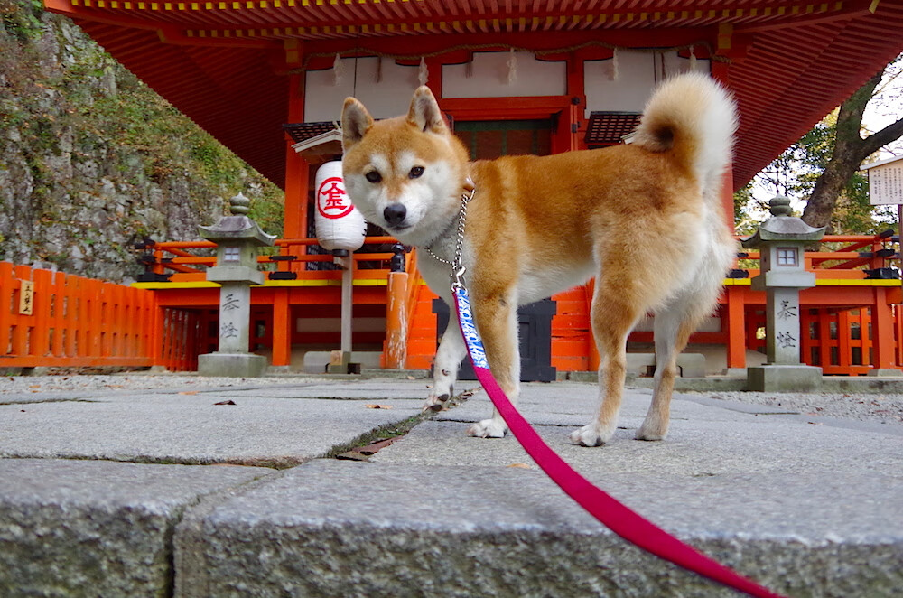 国家田径队集训开营，刘翔亲临指导新秀，田径比赛刘翔