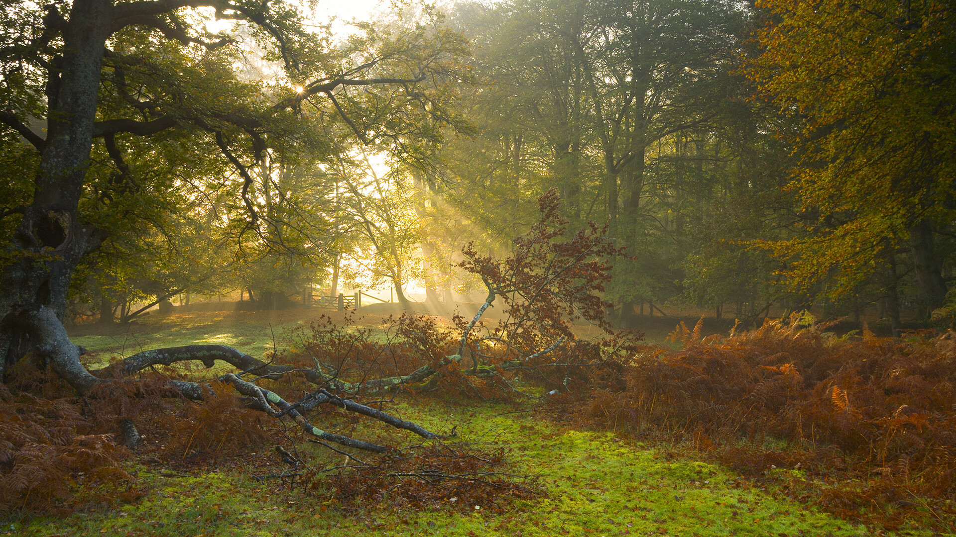 国家田径队集训开营，刘翔亲临指导新秀，田径比赛刘翔